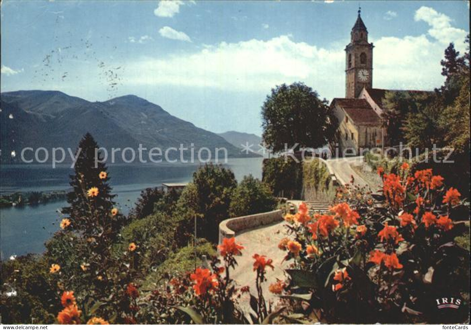 12354455 Ronco Sopra Ascona Kirche  Ronco Sopra Ascona - Other & Unclassified