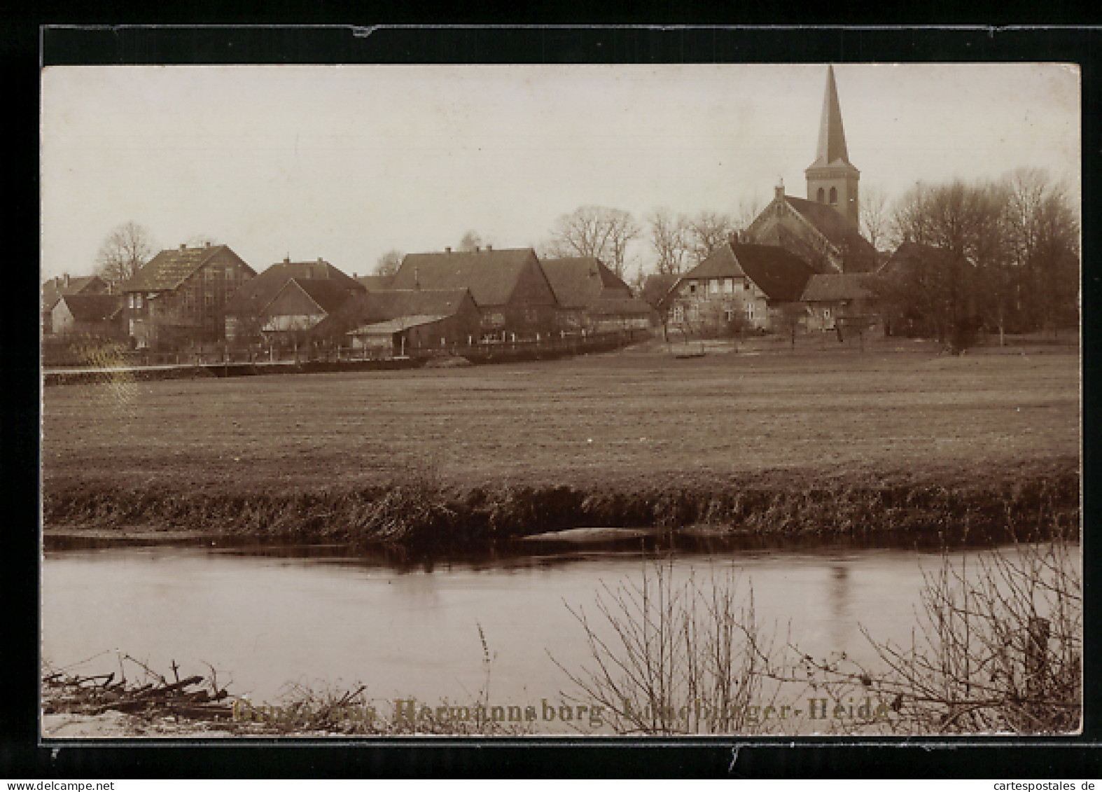 AK Hermannsburg I. Lüneburger Heide, Ortsansicht Mit Kirche  - Lüneburg