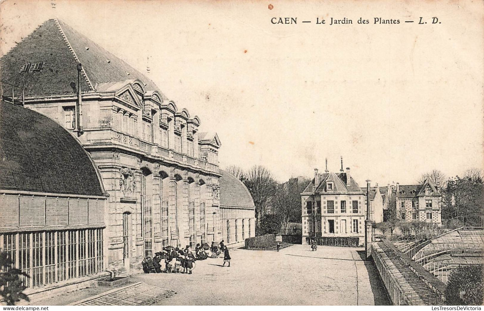 FRANCE - Caen - Le Jardin Des Plantes - Carte Postale Ancienne - Caen