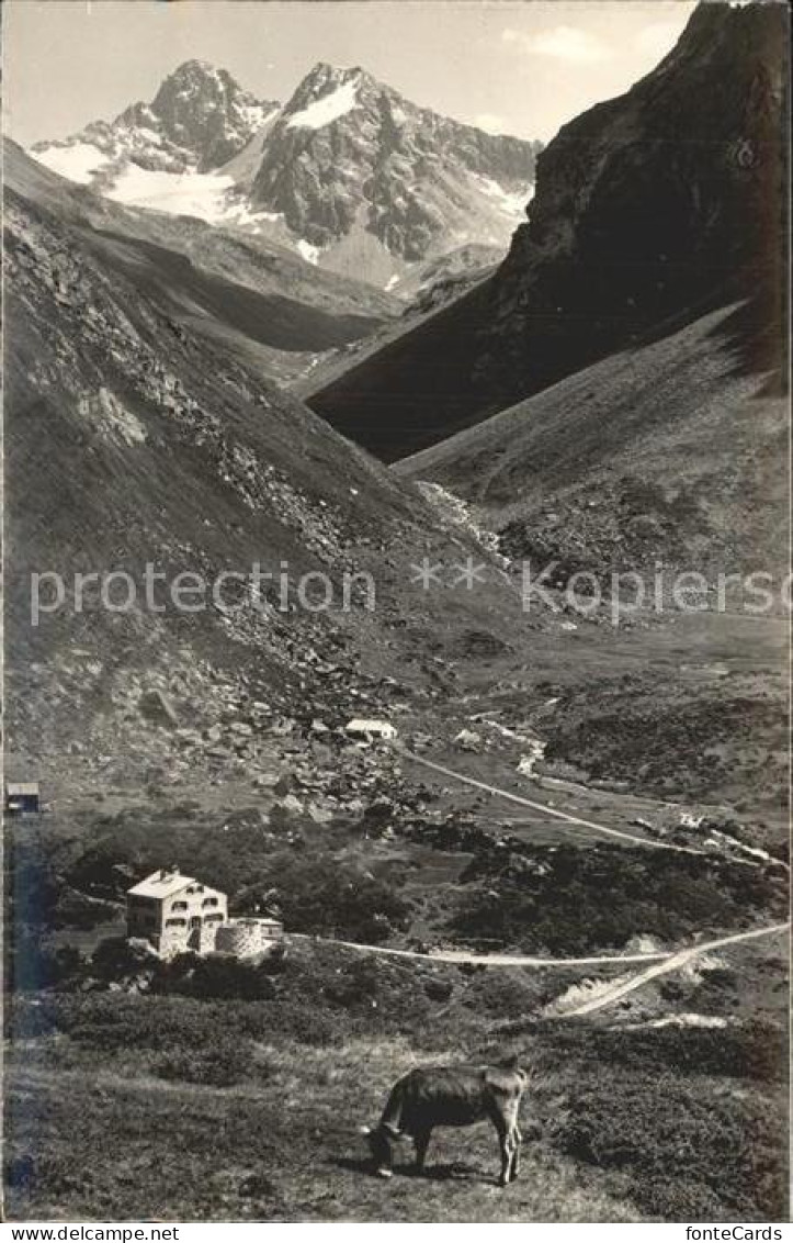 12341195 Klosters GR Vereina Schwarzkopf Verstankla Klosters - Other & Unclassified