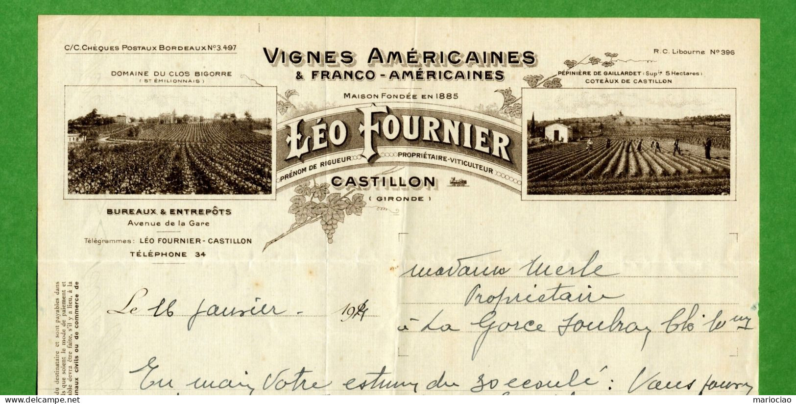 DF-FR 33 Castillon-la-Bataille 1924 Vignes Americaines Léo Fournier - Autres & Non Classés