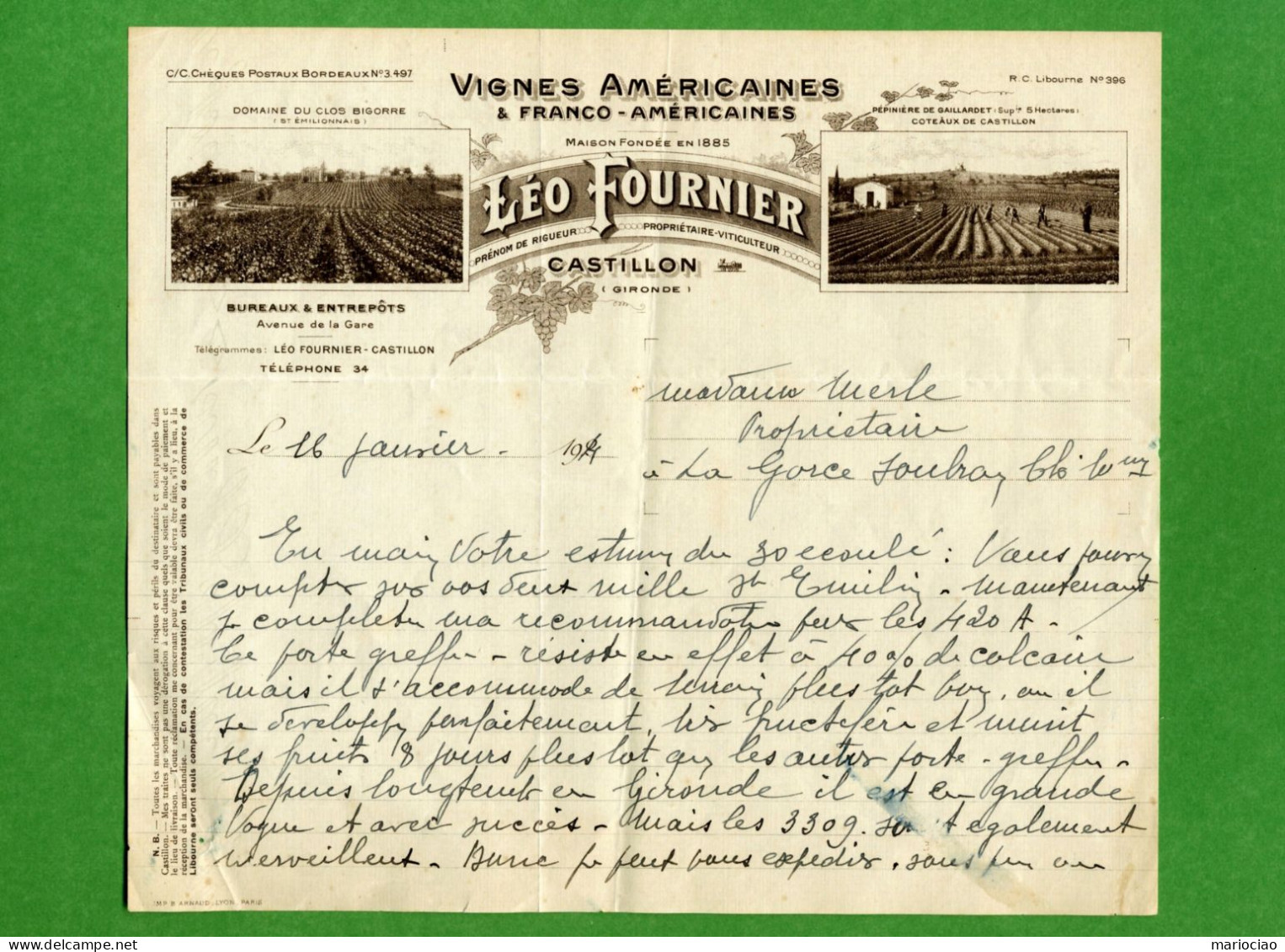 DF-FR 33 Castillon-la-Bataille 1924 Vignes Americaines Léo Fournier - Autres & Non Classés