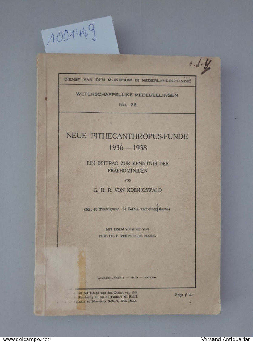 Neue Pithecanthropus-Funde 1936-1938: Ein Beitrag  Zur Kenntnis Der Praehominiden : - Otros & Sin Clasificación