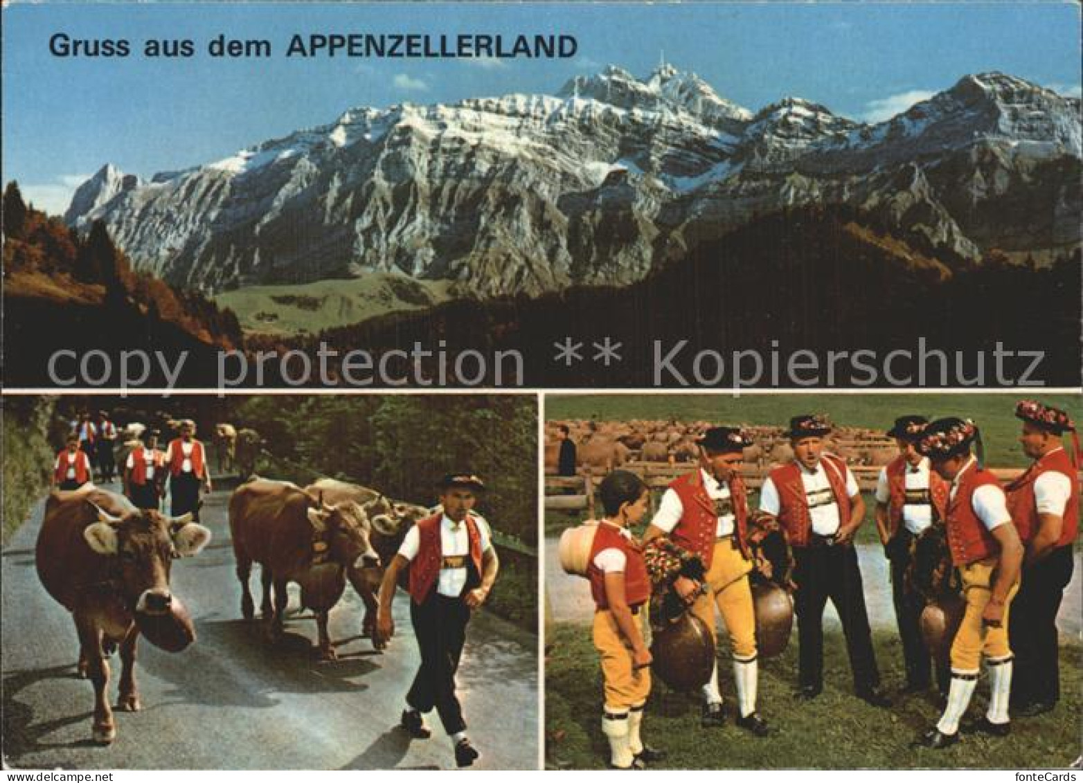 12337445 Appenzell IR Tracht  Appenzell - Other & Unclassified