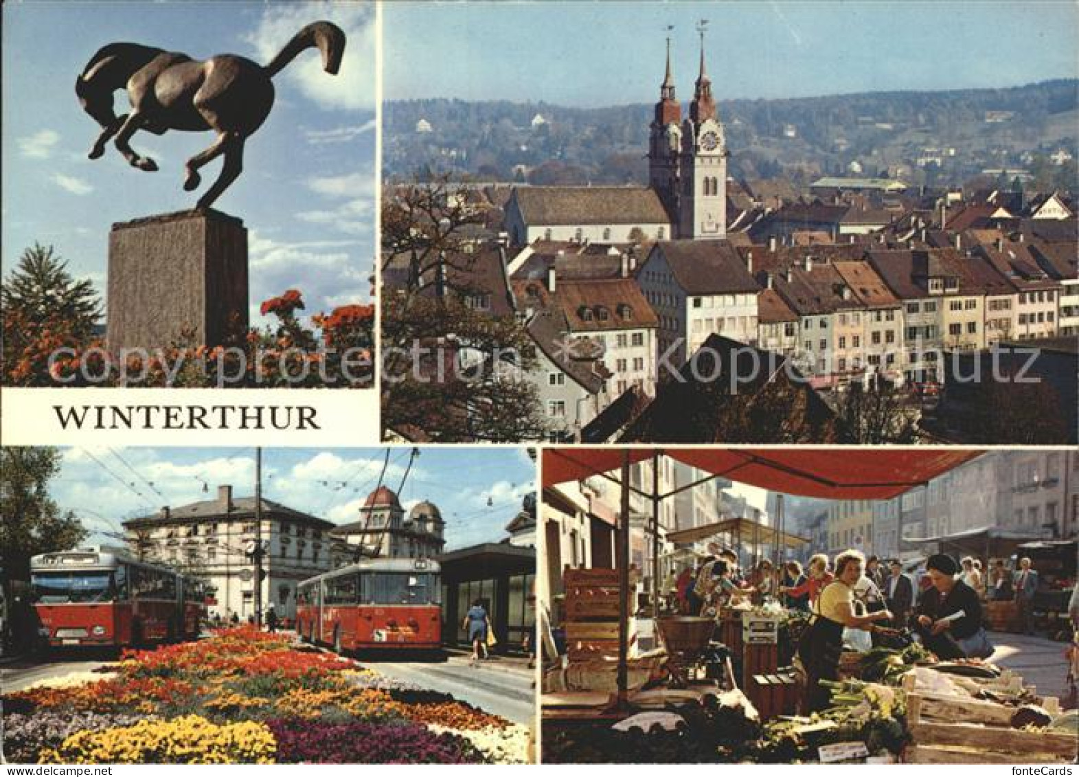 12330565 Winterthur Pferdeskulptur Zentrum Kirche Strassenbahn Markt Winterthur - Autres & Non Classés