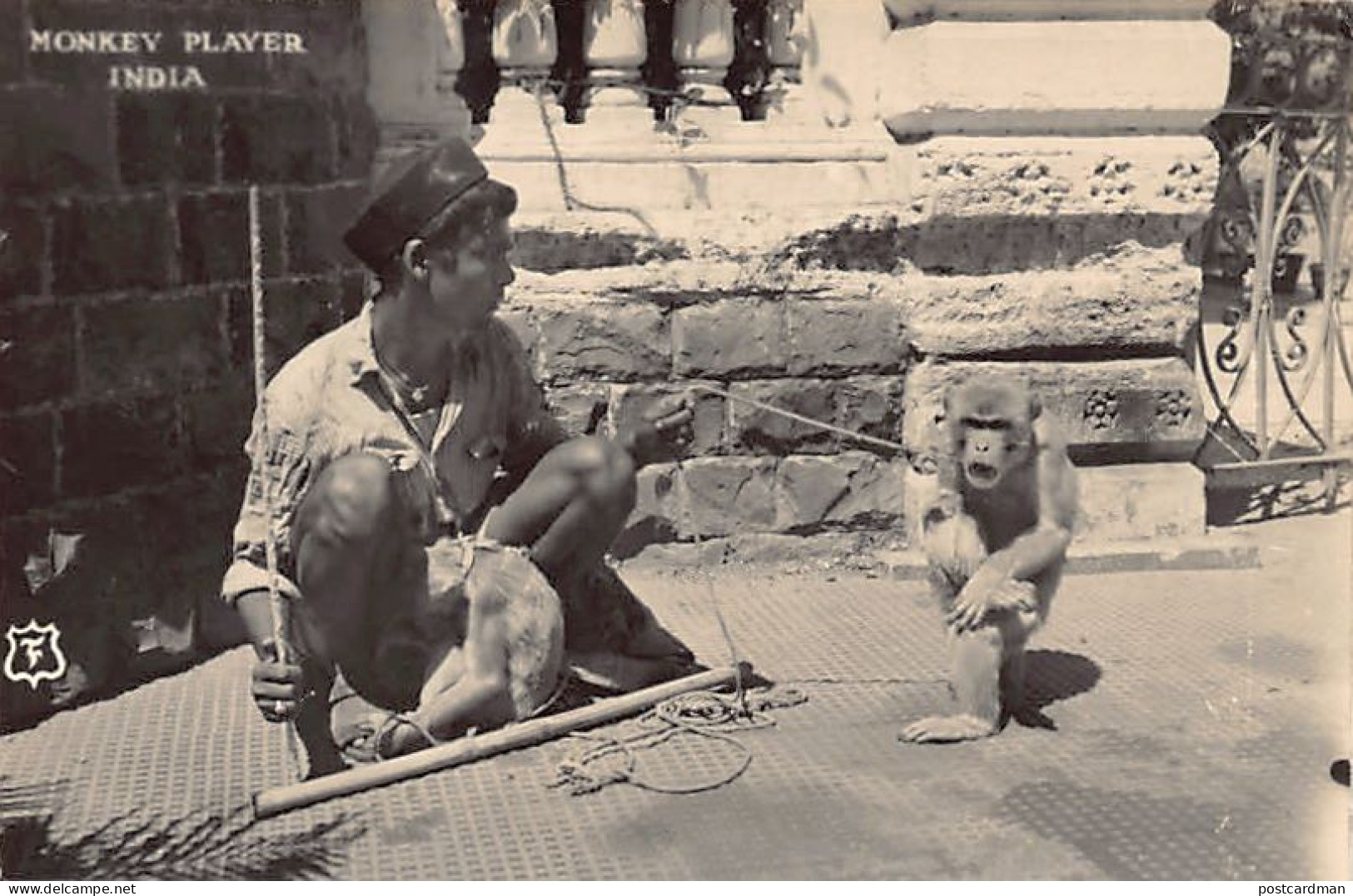 India - Monkey Player - REAL PHOTO - India