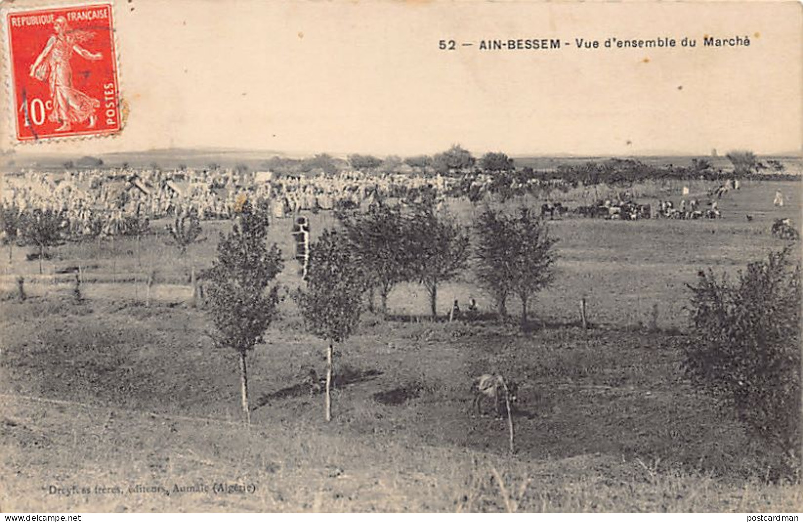 Algérie - AÏN BESSEM - Vue D'ensemble Du Marché - Ed. Dreyfuss Frères 52 - Autres & Non Classés