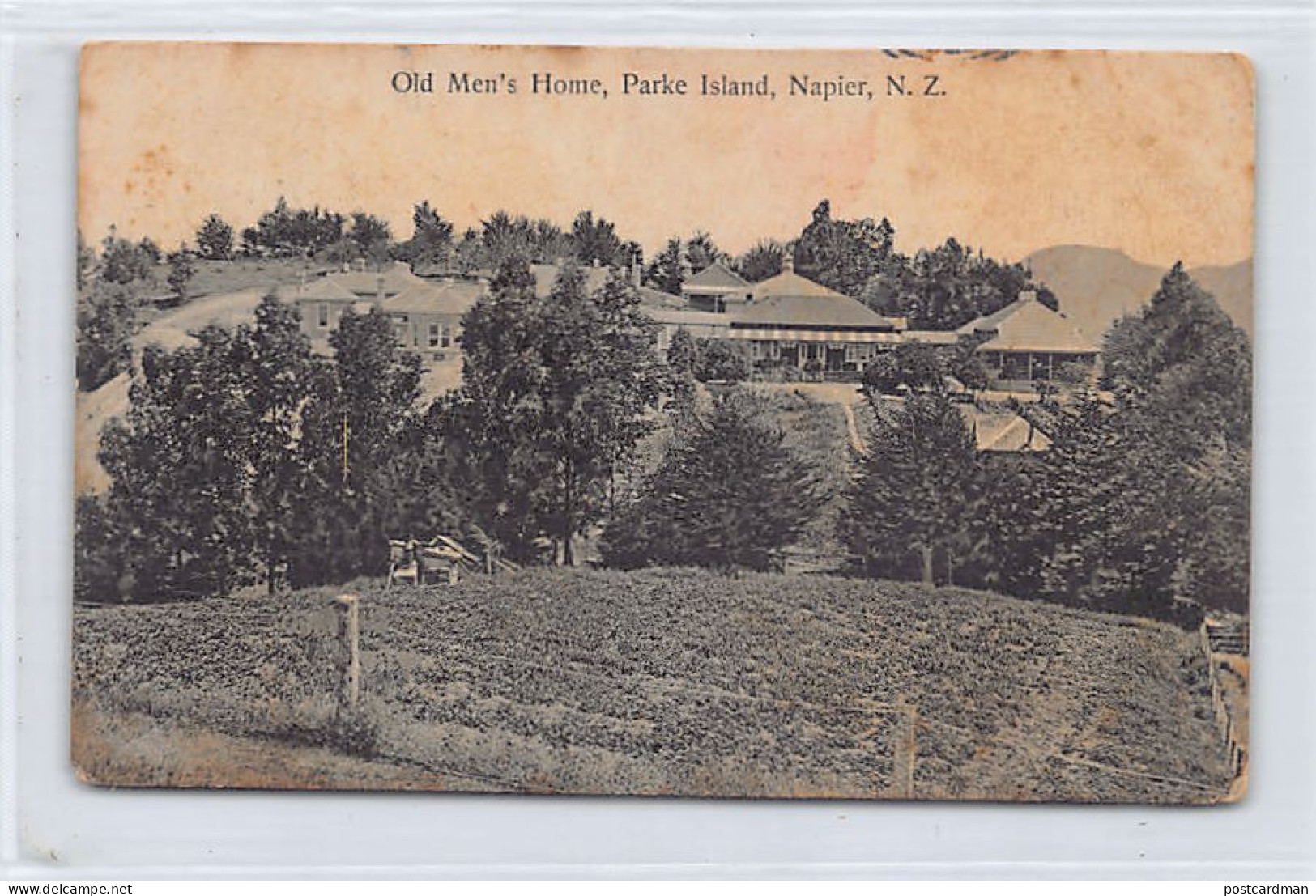New Zealand - Old Men's Home, Parke Island, Napier - SEE SCANS FOR CONDITION - Publ. J. Chadwick  - Nieuw-Zeeland