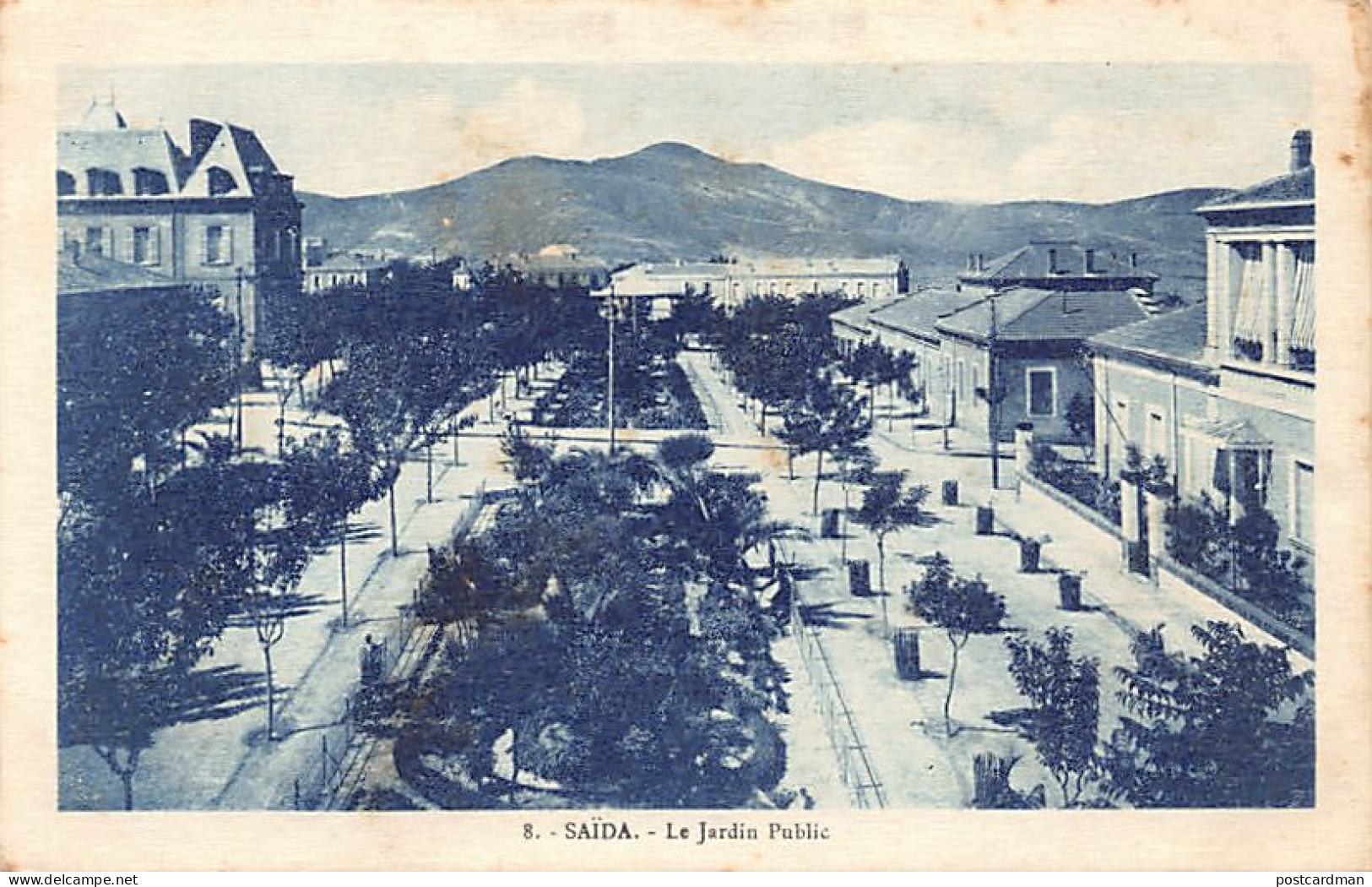 Algérie - SAÏDA - Le Jardin Public - Ed. Inconnu 8 - Saida