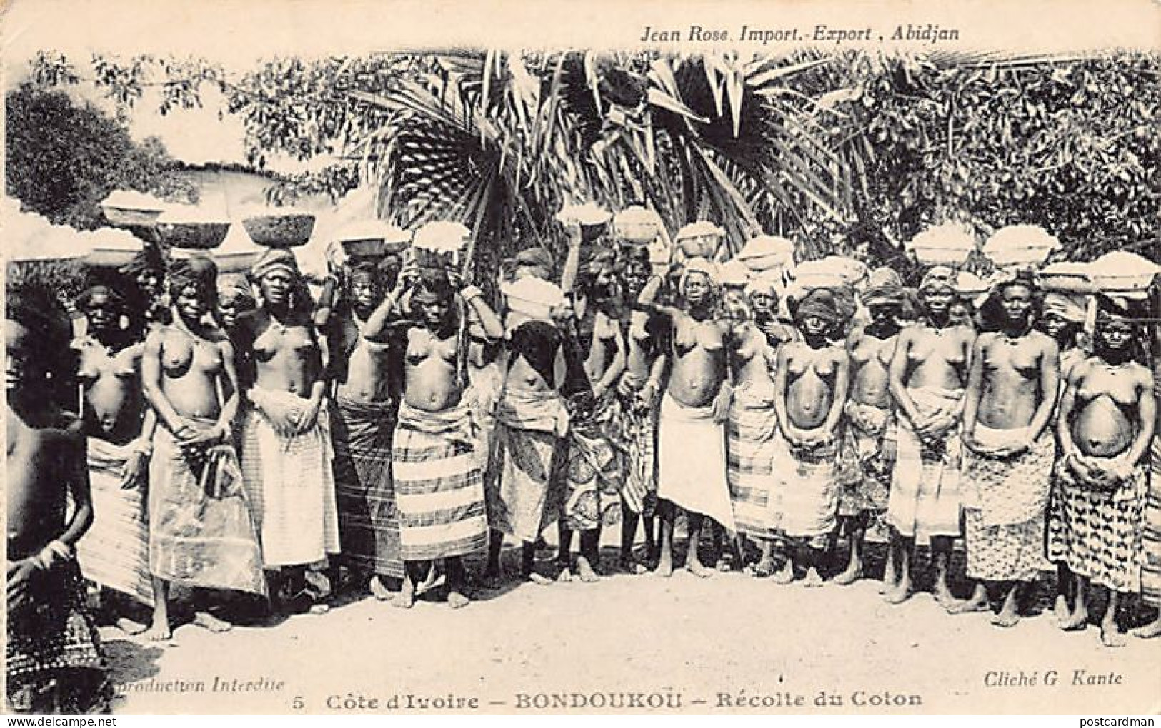 Côte D'Ivoire - NU ETHNIQUE - Bondoukou - Récolte Du Coton - Ed. G. Kanté - J. Rose 5 - Costa De Marfil