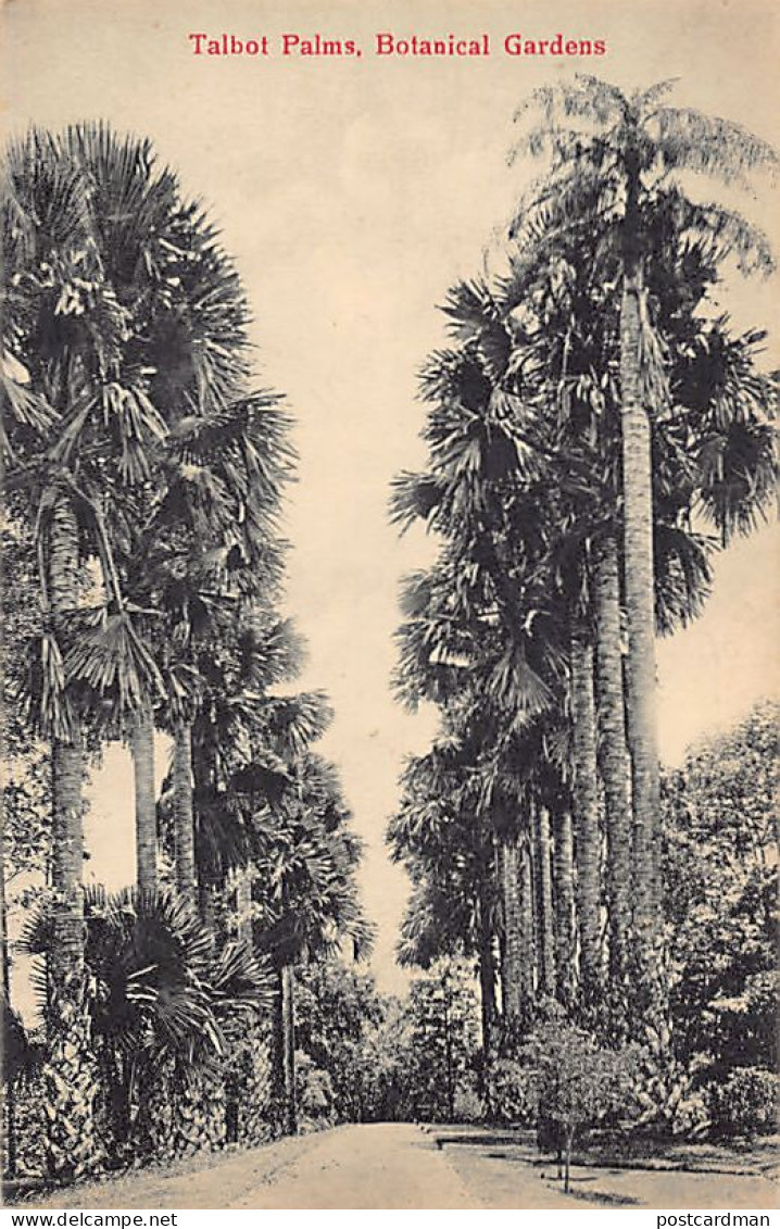 Sri Lanka - COLOMBO - Talbot Palms, Botanical Gardens - Publ. The Travellers Mart 117 - Sri Lanka (Ceylon)