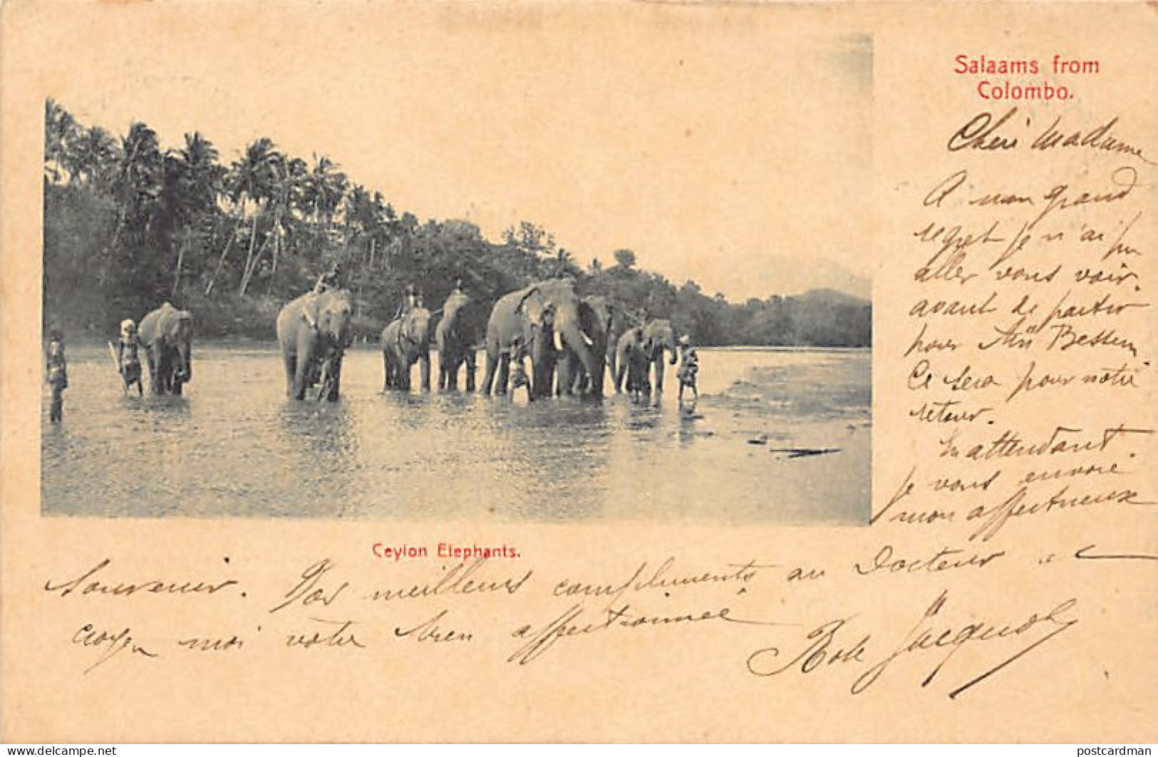 Sri Lanka - Ceylon Elephants - Publ. Plâté & Co.  - Sri Lanka (Ceylon)