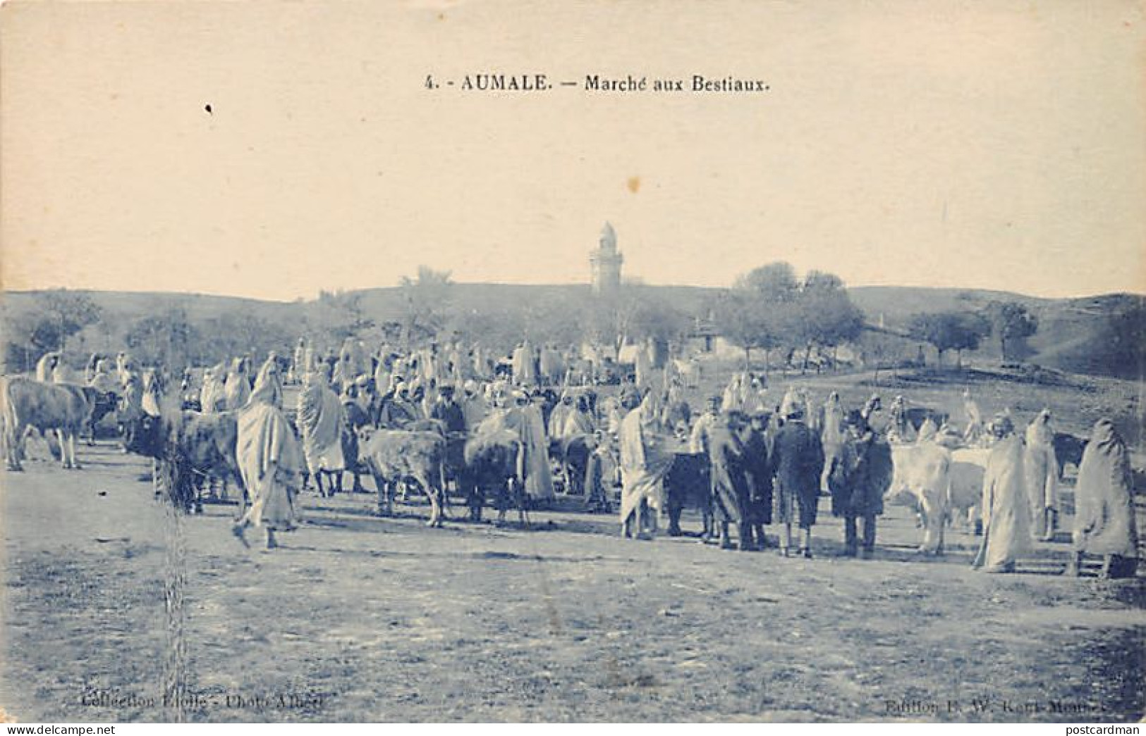 AUMALE Sour El-Ghozlane - Marché Aux Bestiaux - Autres & Non Classés