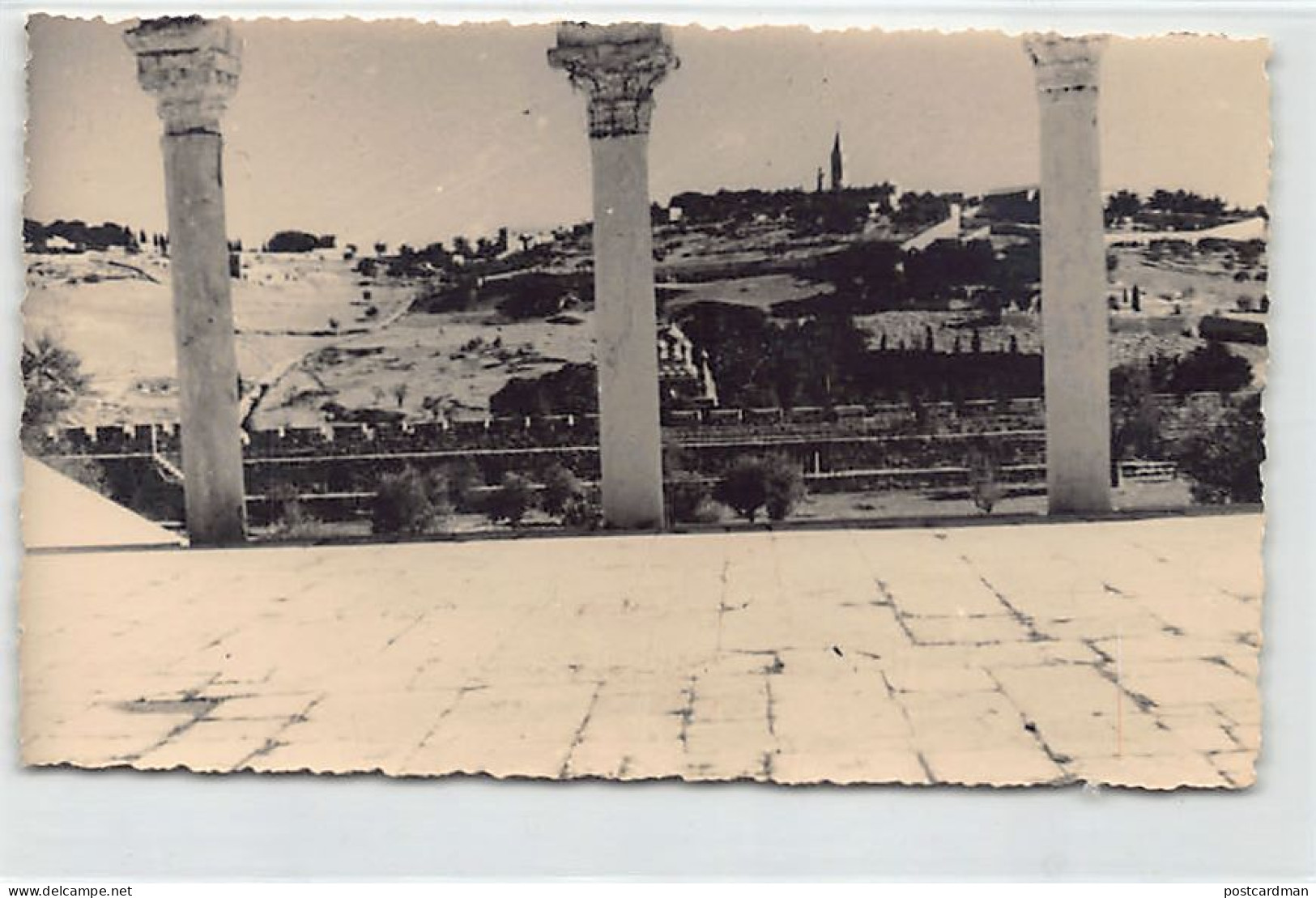 Israel - JERUSALEM - Mount Of Olives Seen From Temple Area - PHOTOGRAPH Postcard - Israel