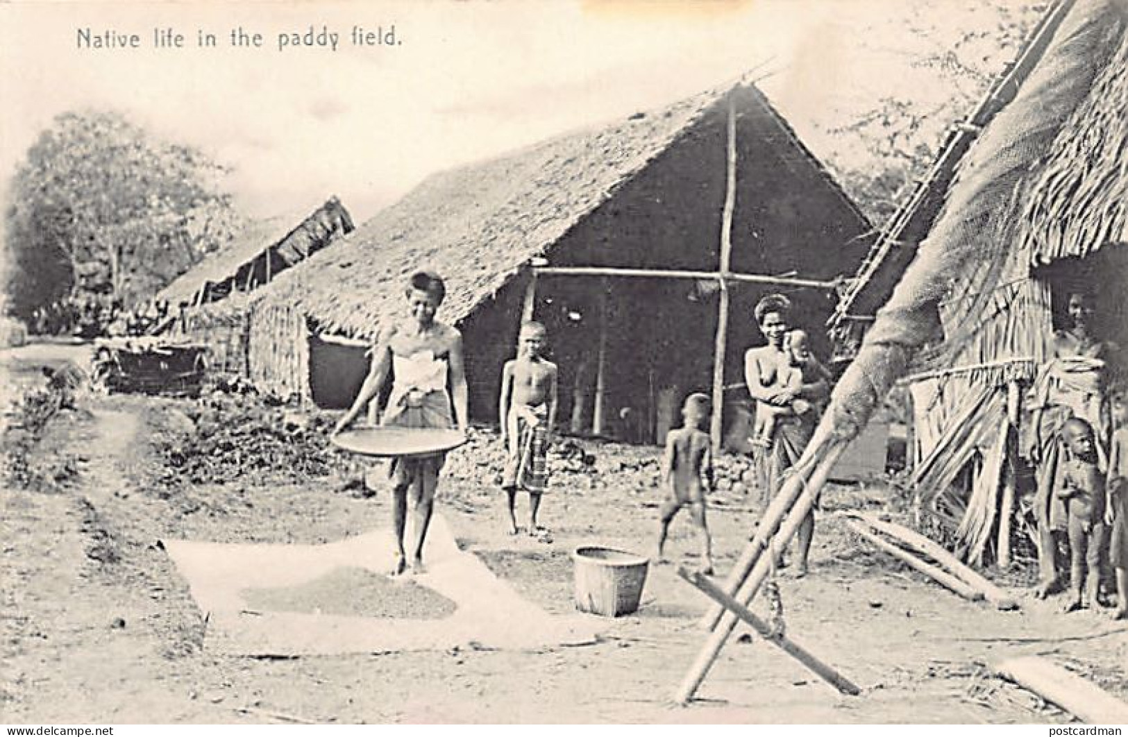 Thailand - Native Life In The Paddy Field - Publ. J. Antonio 8 - Tailandia