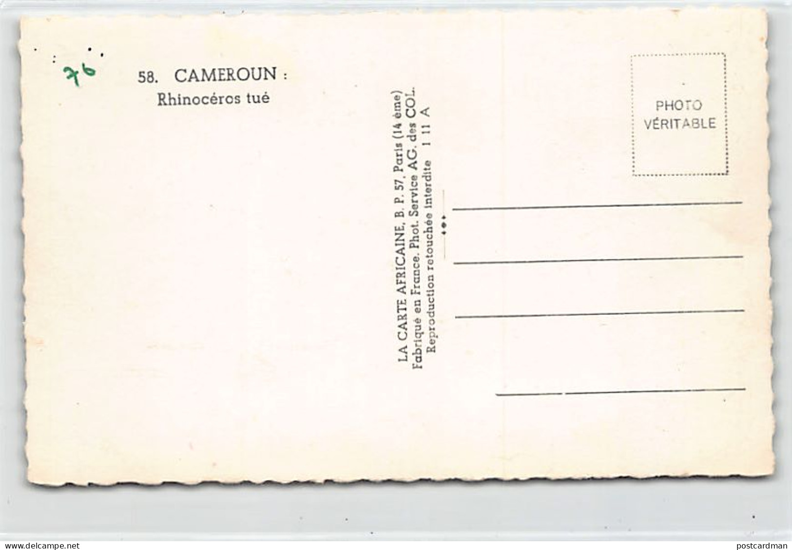 Cameroun - Rhinocéros Tué - Ed. La Carte Africaine 58 - Kameroen