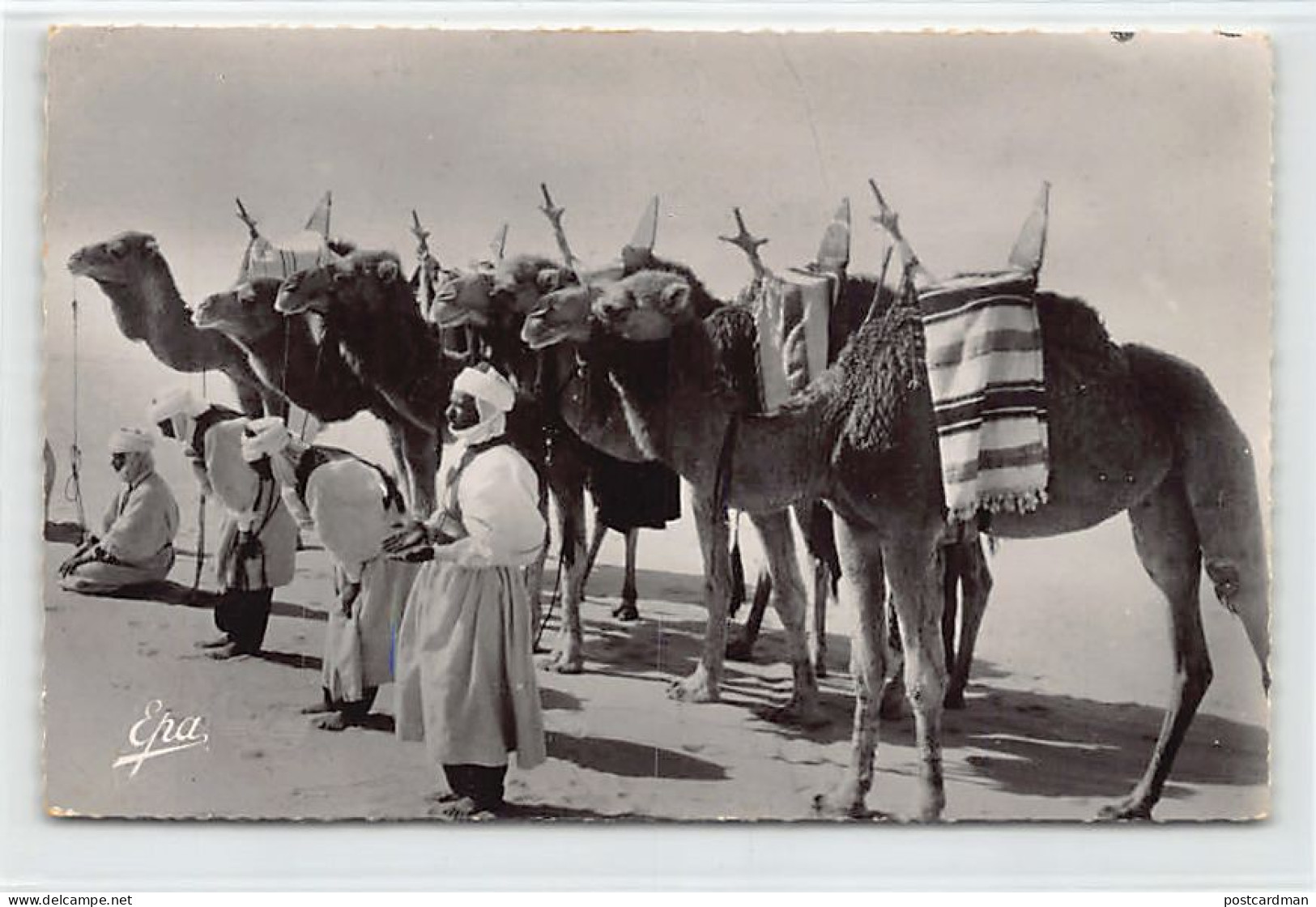 Algérie - Méharistes En Prière - Ed. Photo-Africaines 5608 - Szenen
