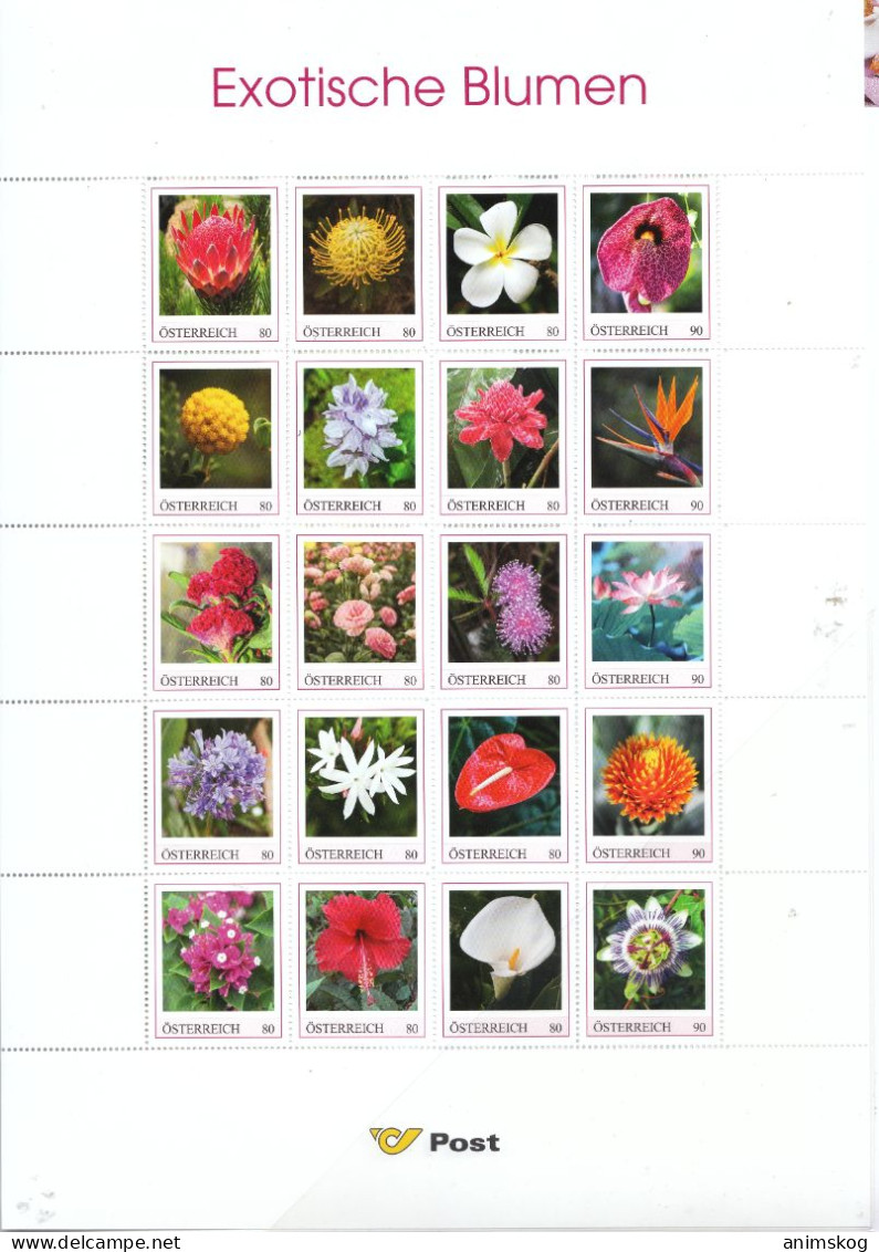 Österreich, Personalisierte Marken, Blumen / Austria, Personalized Stamps, Flowers - Cactussen