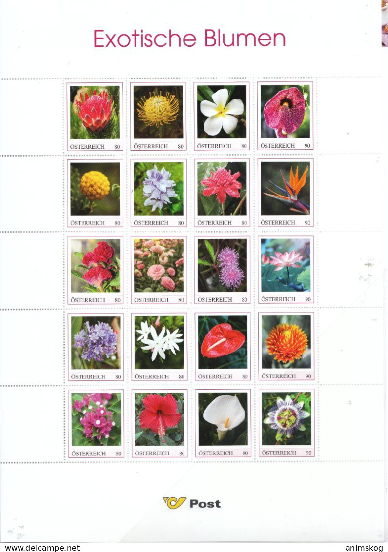 Österreich, Personalisierte Marken, Blumen / Austria, Personalized Stamps, Flowers - Cactusses