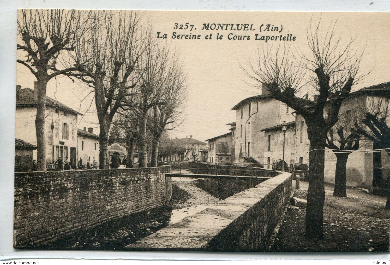 -01-AIN - MONTLUEL - La Sereine Et Le Cours Laportelle - Montluel