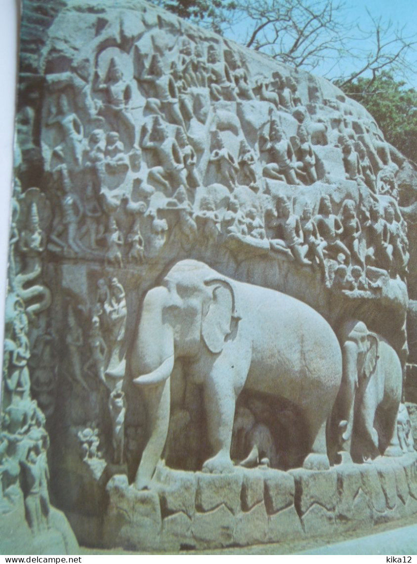 Inde  Mahabalipuram  Sculpture Eléphant       CP240282 - India
