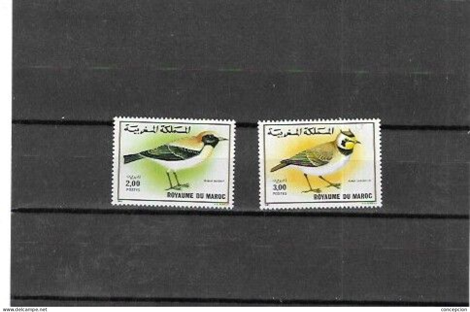 MARRUECO Nº  1073 AL 1074 - Pájaros Cantores (Passeri)