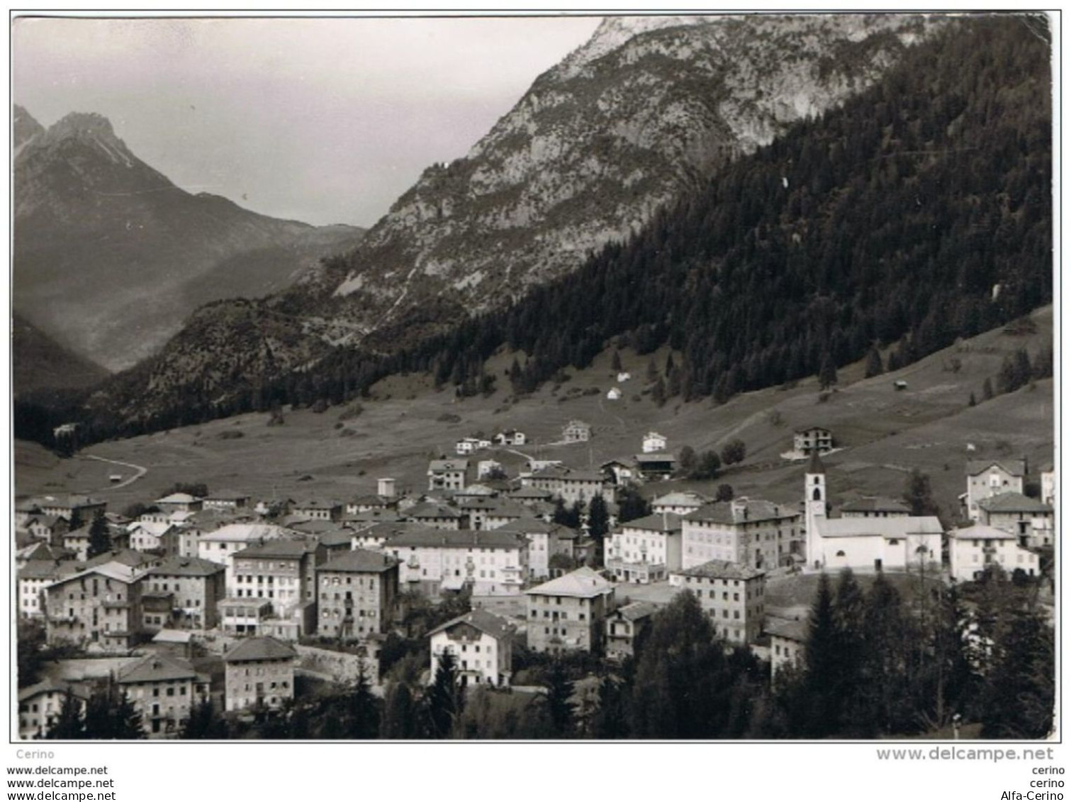 LAGGIO  DI  CADORE:  PANORAMA  -  FOTO  -  FG - Belluno