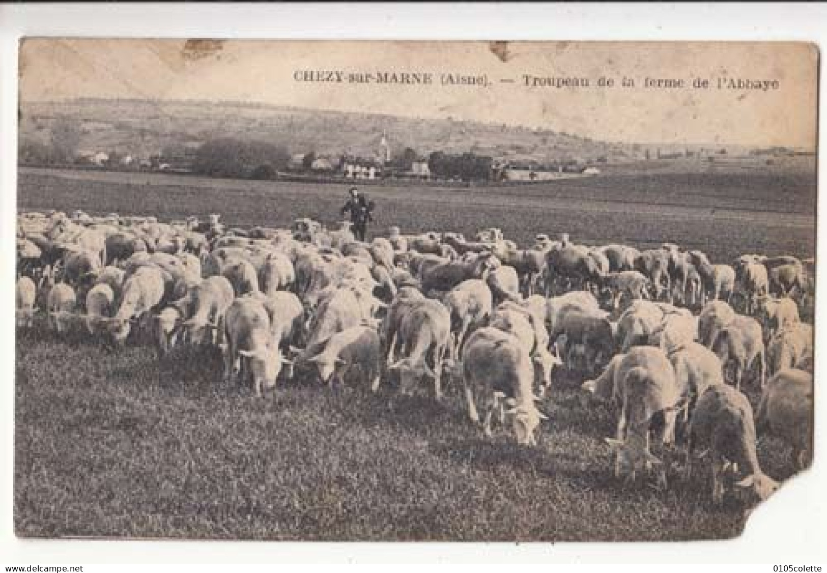 Carte France 02 -  Chezy Sur Marne - Troupeau De La Ferme De L'Abbaye -  PRIX FIXE - ( Cd074) - Other & Unclassified