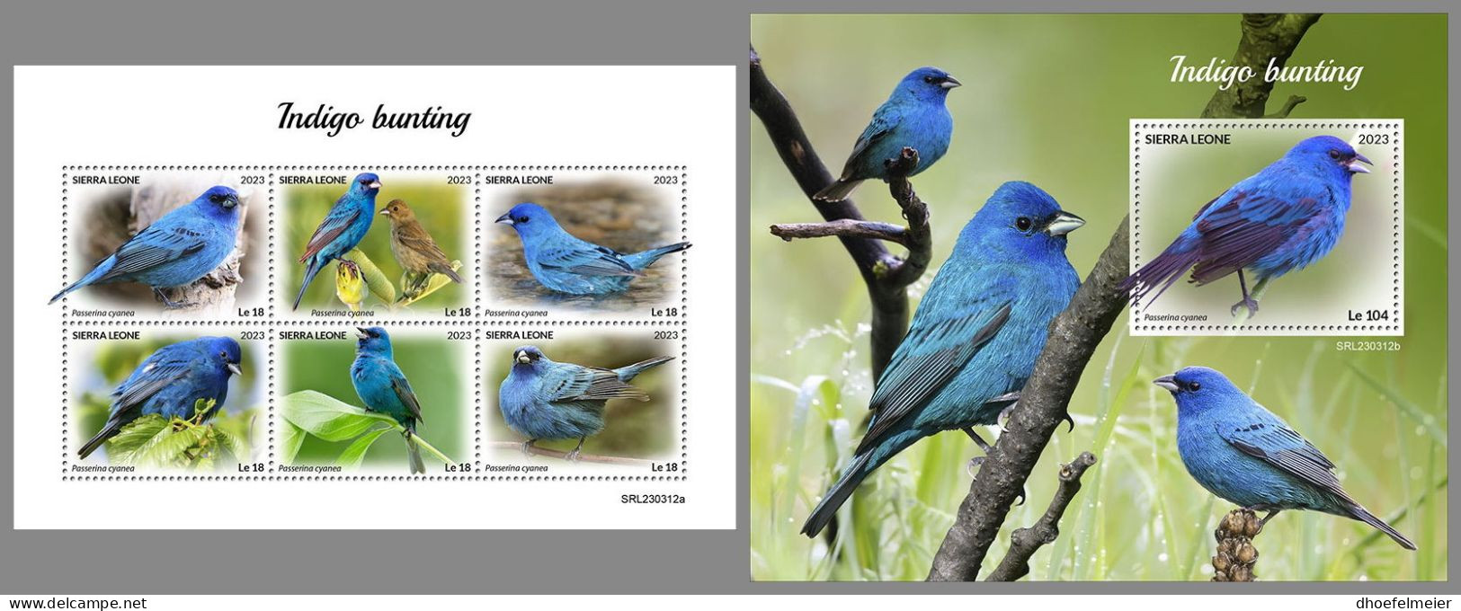 SIERRA LEONE 2023 MNH Indigo Birds Indigovögel M/S+S/S – IMPERFORATED – DHQ2418 - Sonstige & Ohne Zuordnung