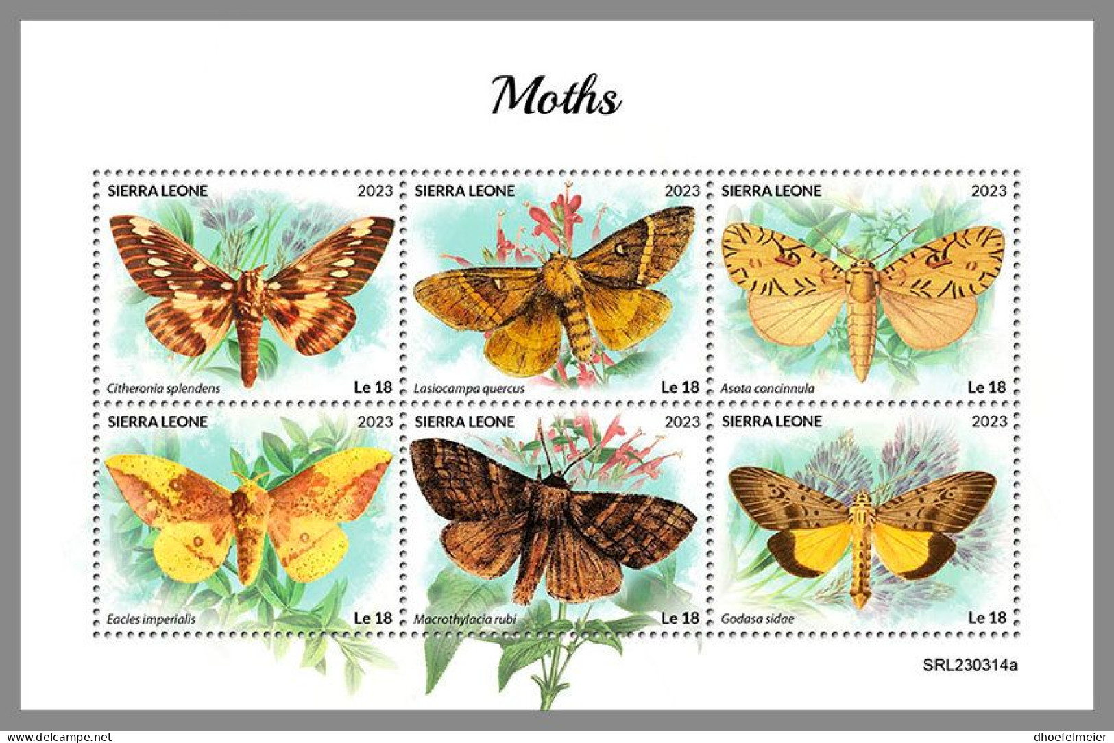 SIERRA LEONE 2023 MNH Moths Motten M/S – IMPERFORATED – DHQ2418 - Other & Unclassified