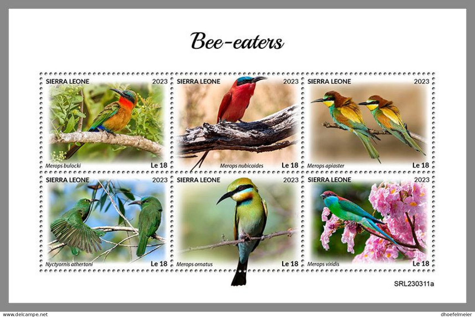 SIERRA LEONE 2023 MNH Bee-eaters Bienenfresser M/S – IMPERFORATED – DHQ2418 - Sonstige & Ohne Zuordnung