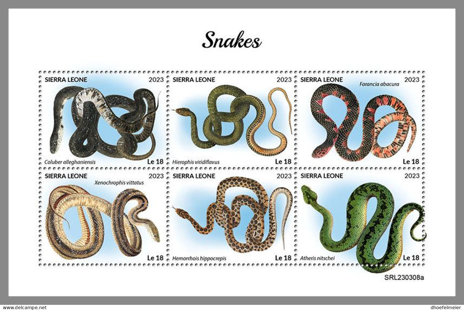 SIERRA LEONE 2023 MNH Snakes Schlangen M/S – IMPERFORATED – DHQ2418 - Serpenti