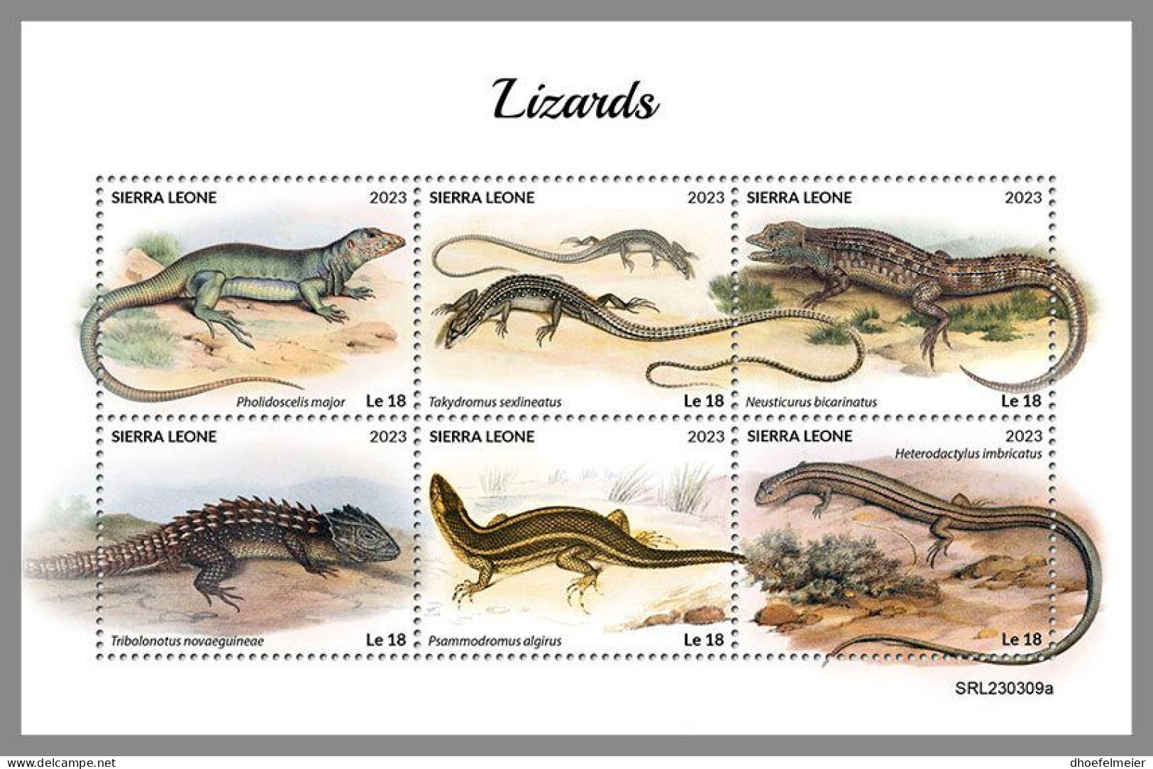 SIERRA LEONE 2023 MNH Lizards Eidechsen M/S – IMPERFORATED – DHQ2418 - Other & Unclassified