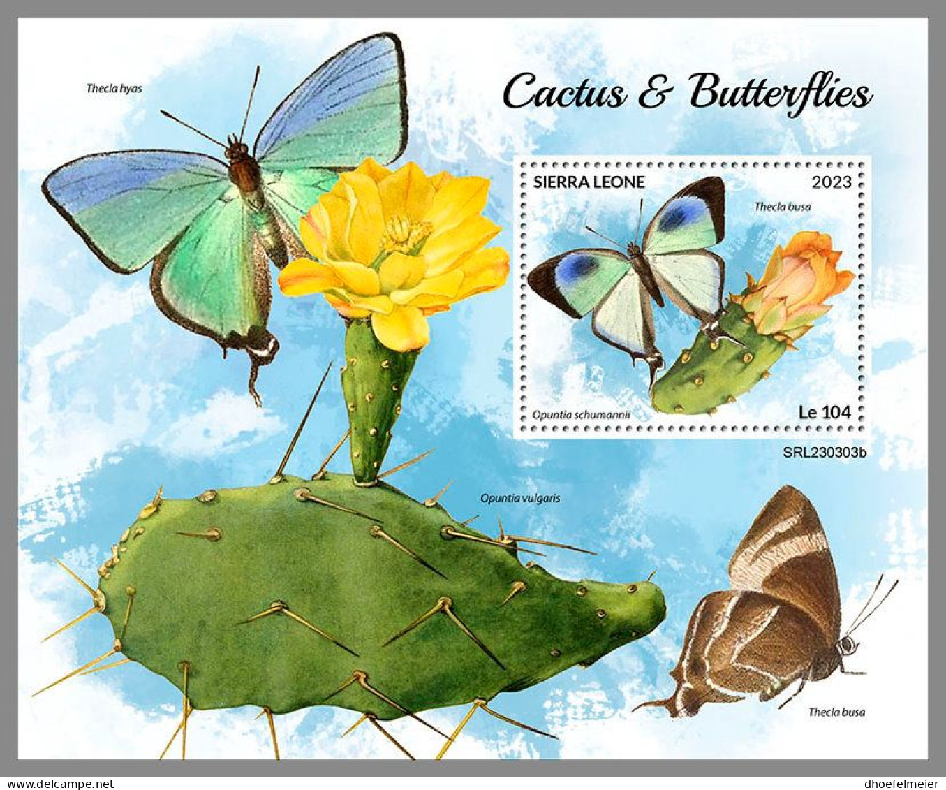 SIERRA LEONE 2023 MNH Butterflies & Cactus Schmetterlinge & Kakteen S/S – IMPERFORATED – DHQ2418 - Butterflies