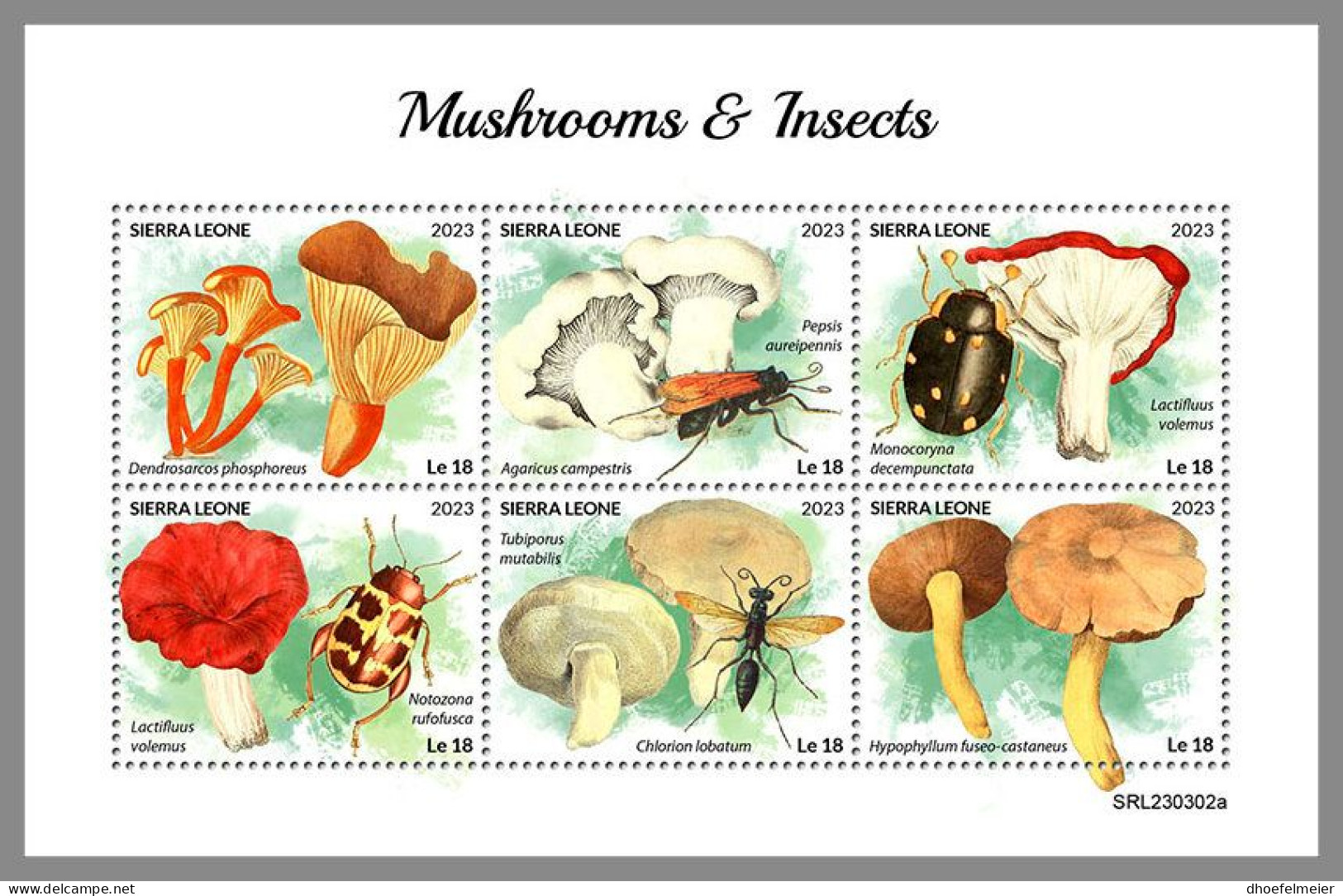 SIERRA LEONE 2023 MNH Mushrooms & Insects Pilze & Insekten M/S – IMPERFORATED – DHQ2418 - Champignons