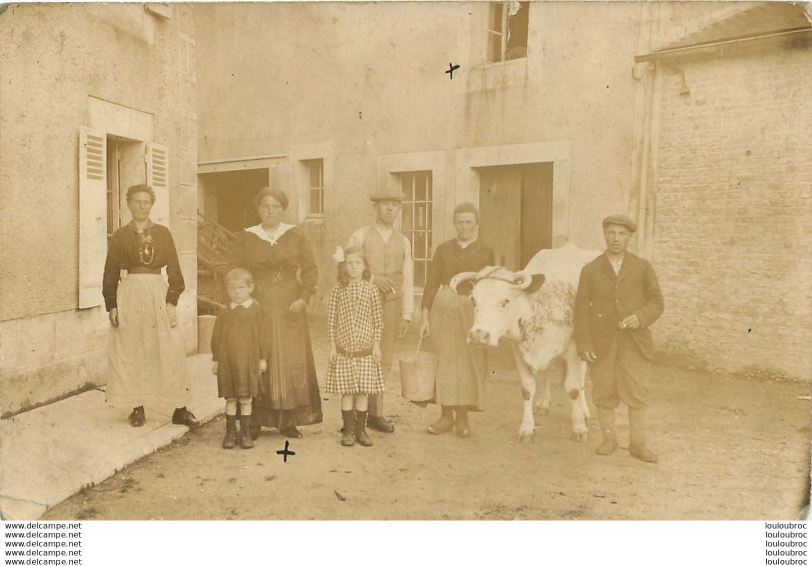 CARTE PHOTO COUR DE FERME - Fermes