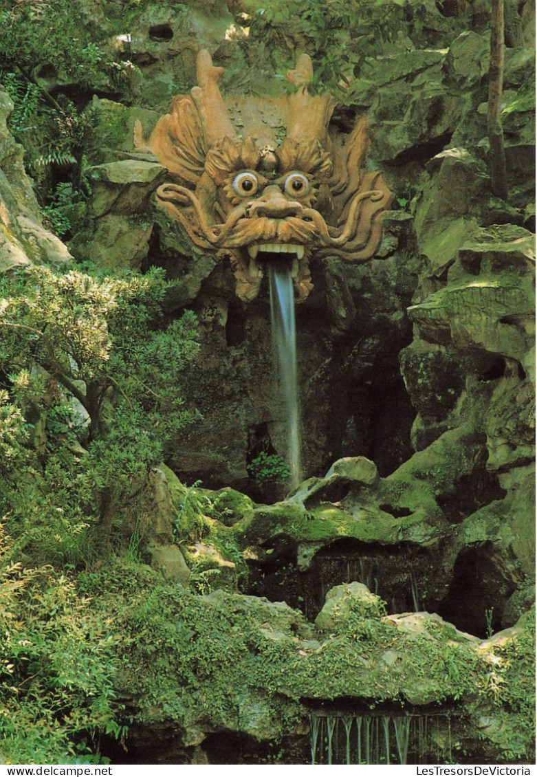 CHINE - Yellow Dragon Cave - Statue - Fontaine - Carte Postale - China