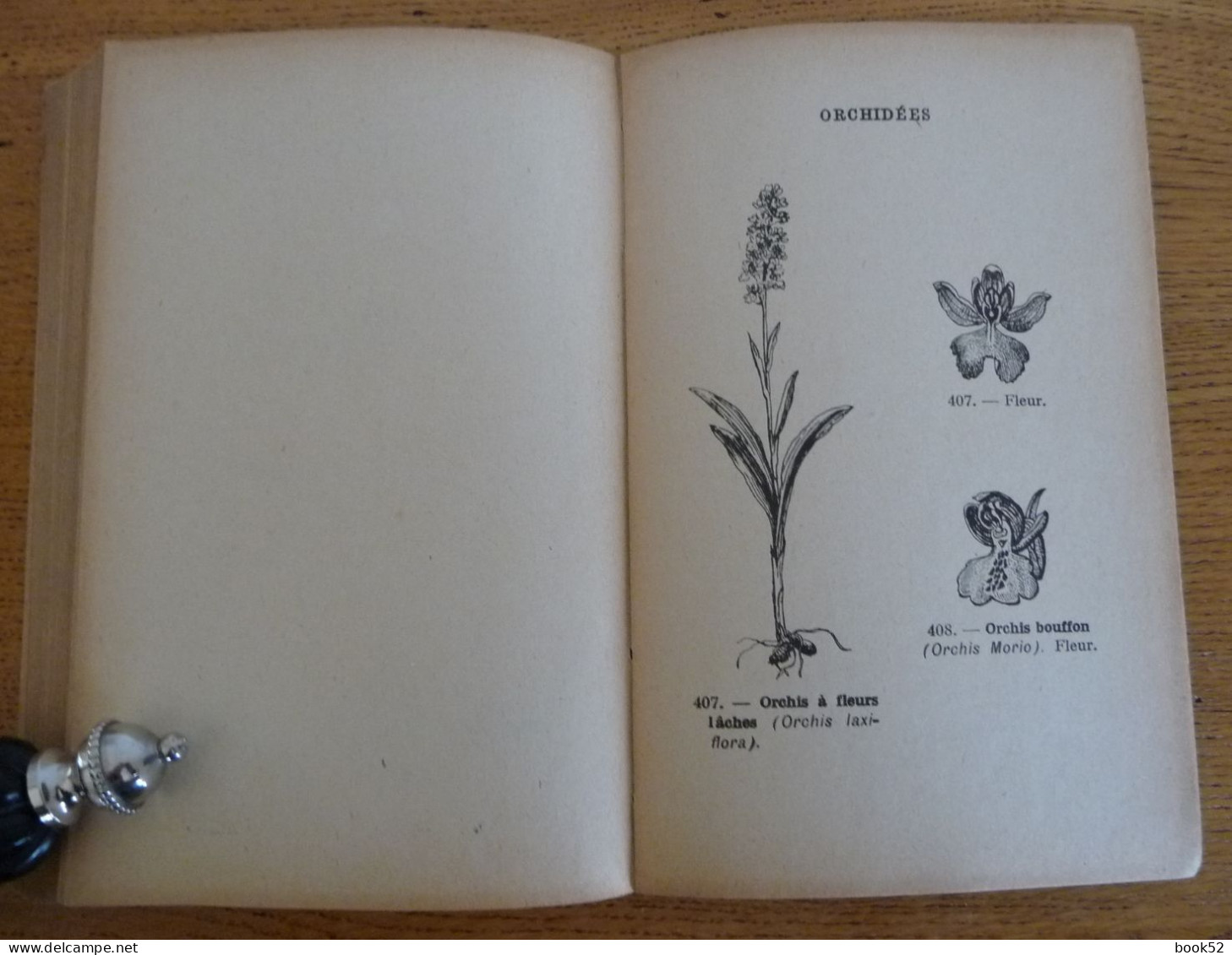 ATLAS de la FLORE SIMPLIFIEE par l'Abbé Th. Moreux (1925) (Pour reconnaître les Fleurs)