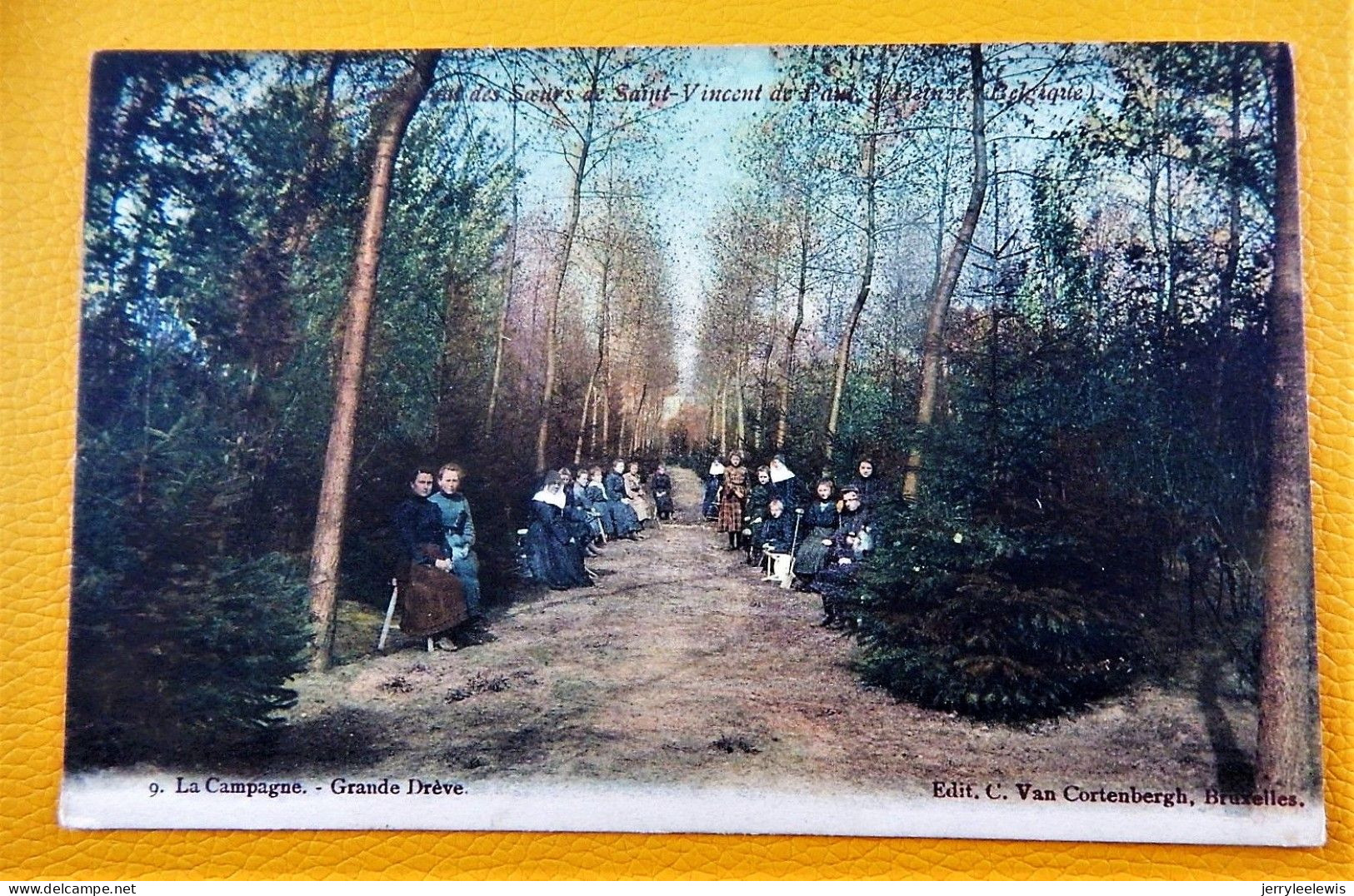 DEINZE  -  Pensionnat Des Soeurs De Saint-Vincent De Paul  - La Campagne, Grande Drève  -  1905 - Deinze