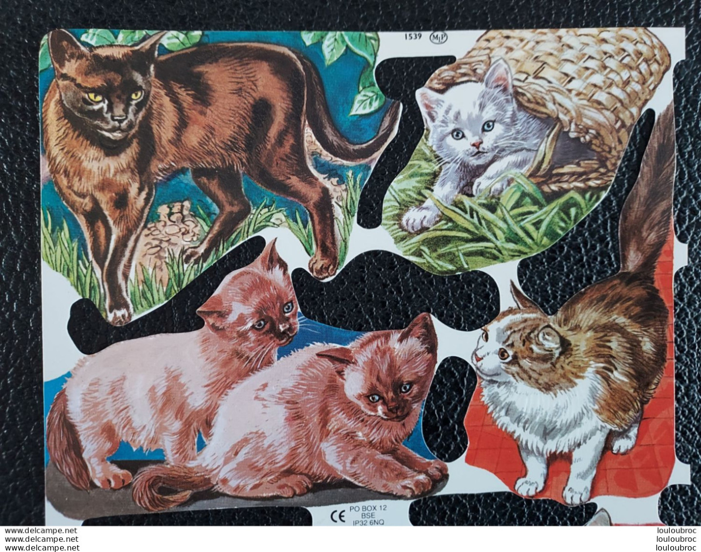 CHATS PLANCHE DE DECOUPIS DE 8 CHATS ETAT NEUF FORMAT TOTAL 24 X 15.50 CM - Animals