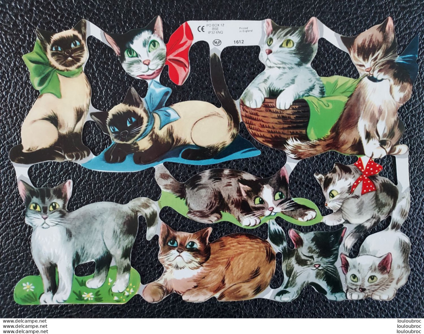 CHATS PLANCHE DE DECOUPIS DE 10 CHATS ETAT NEUF FORMAT TOTAL 24 X 15.50 CM - Animales