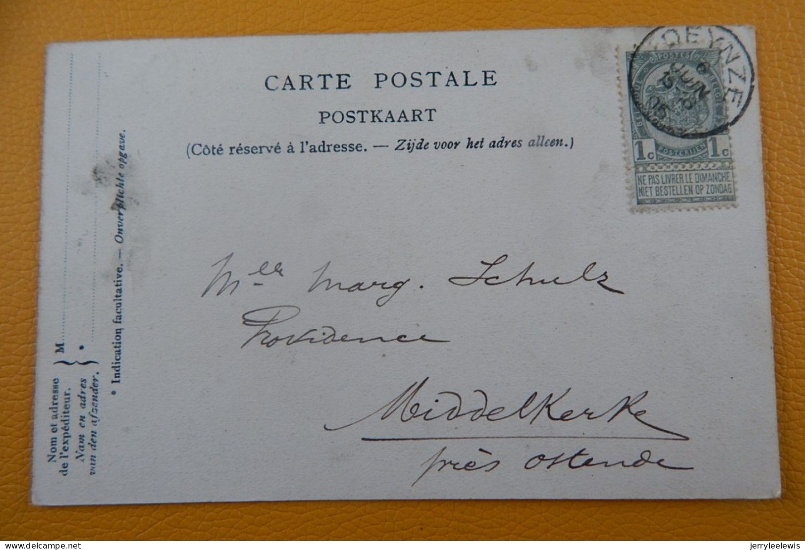 DEINZE  -  Pensionnat Des Soeurs De Saint-Vincent De Paul  -  Un Coin Du Bois   -  1905 - Deinze