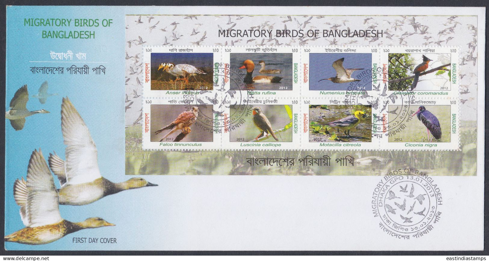 Bangladesh 2013 FDC Migratory Birds, Bird, Duck, Goose, Pockard, Curlew, Cuckoo, Kestrel, Ruby Throat, First Day Cover - Bangladesch