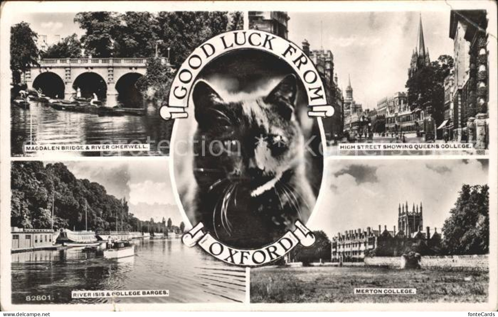 11774909 Oxford Oxfordshire Magdalen Bridge River High Street College Cat  - Sonstige & Ohne Zuordnung