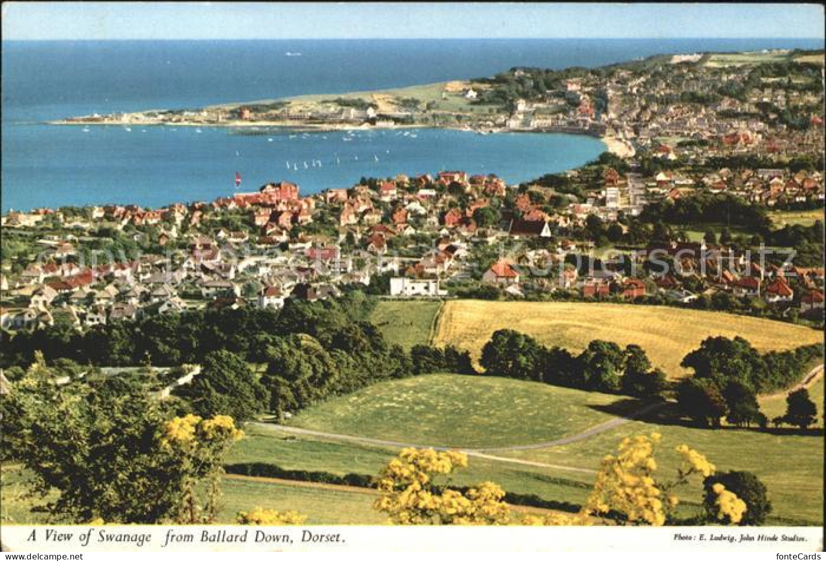 11774892 Swanage Purbeck Panorama View From Ballard Down Swanage - Other & Unclassified