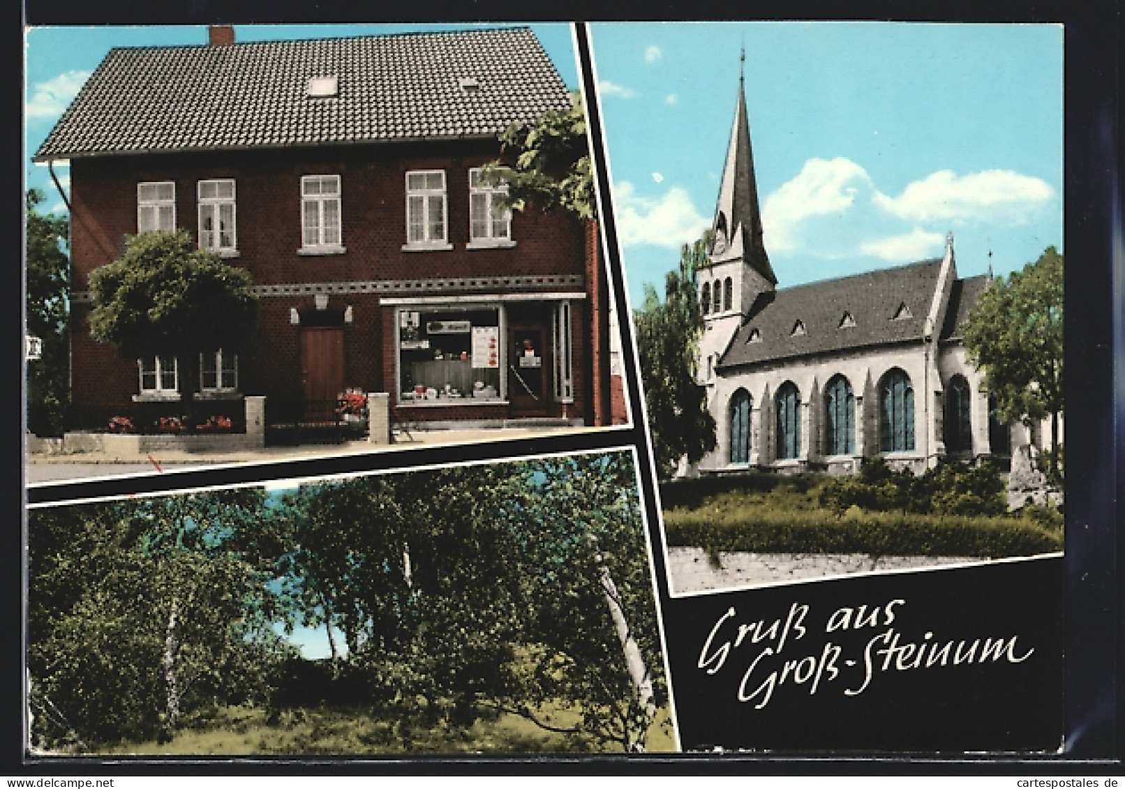AK Gross-Steinum, Kirche, Geschäft Und Birkenwäldchen  - Other & Unclassified