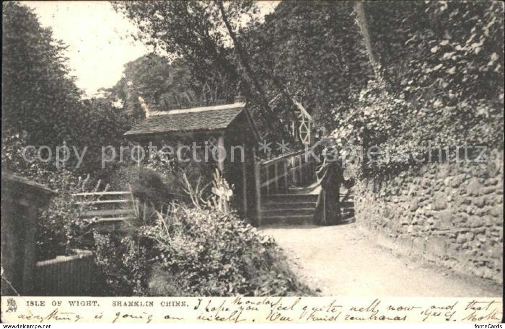 11774753 Isle Of Wight UK Shanklin Chine  - Other & Unclassified