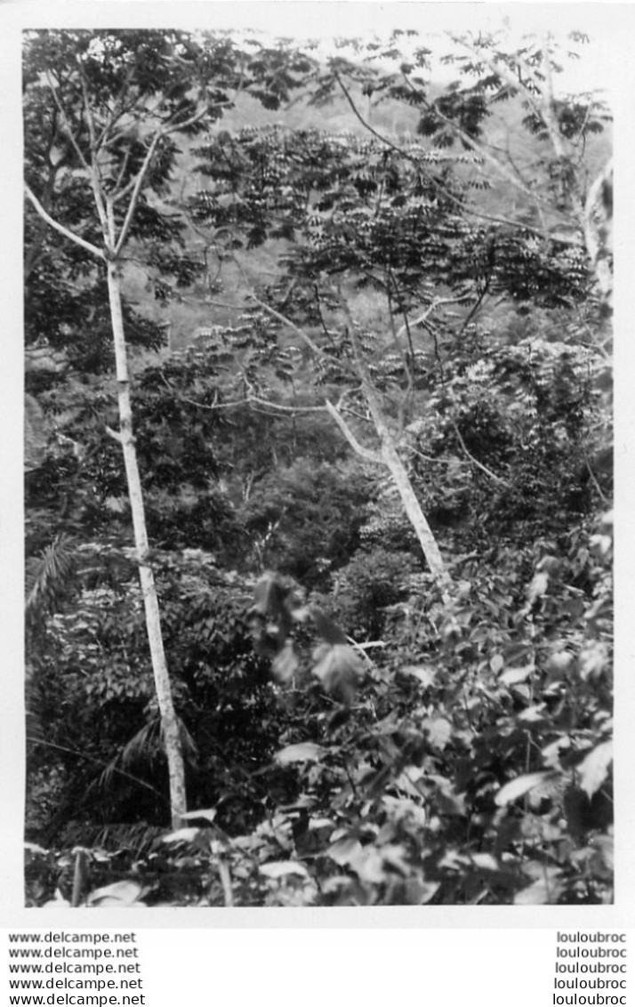 REGION CONGO OUBANGUI CHARI ANNEES 1930 Ref18  PHOTO 13 X 9 CM - Afrika
