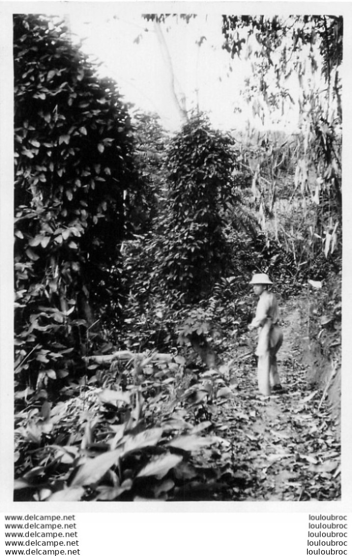 REGION CONGO OUBANGUI CHARI ANNEES 1930 Ref19 PHOTO 13 X 9 CM - Afrique