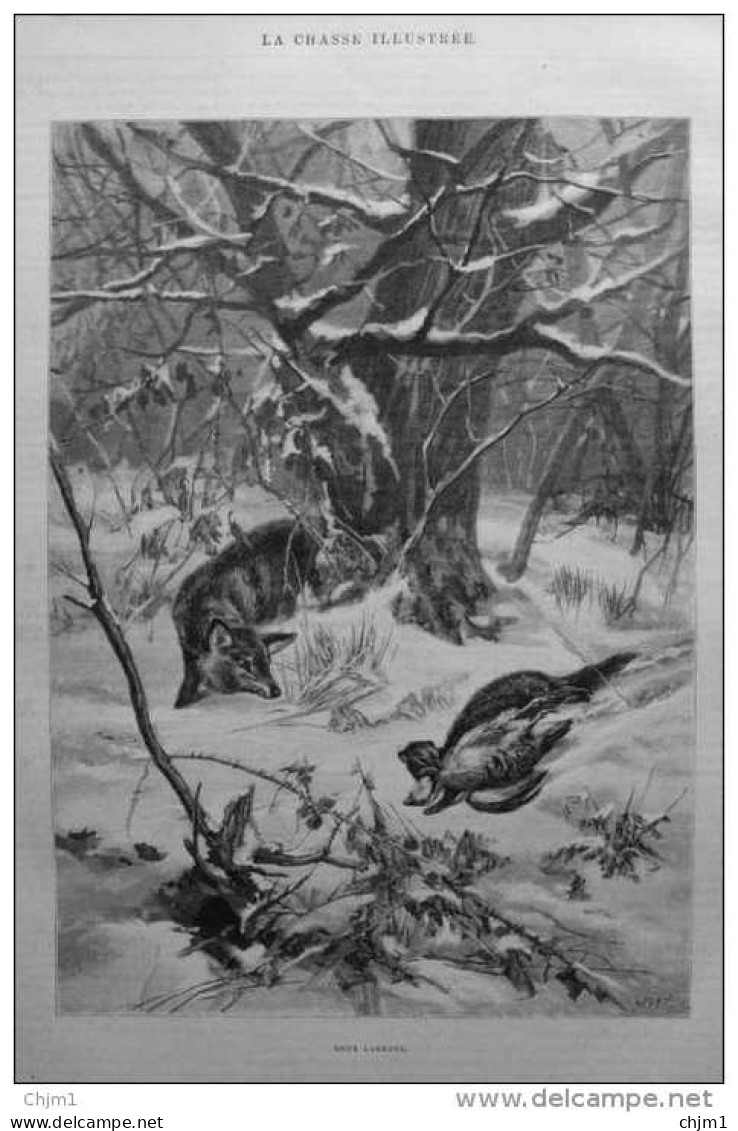Deux Larrons - Renard - Fuchs Und Marder - Gravure  1884 - Estampes & Gravures